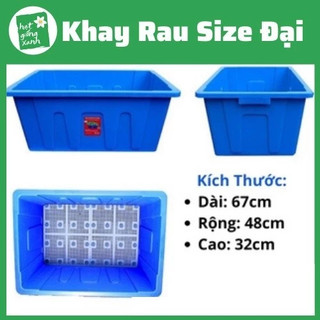 Khay Trồng Rau Size Đại Mùa Xanh 70 Lít Nhiều Màu