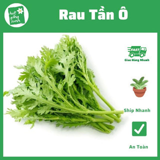 Hạt Giống Tần ô phù hợp khí hậu VN