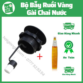Dụng Cụ Bẫy Ruồi Vàng Thế Hệ Mới