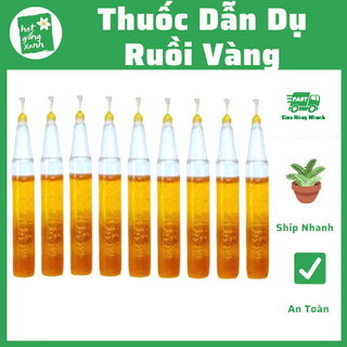 Dụng Cụ Bẫy Ruồi Vàng Thế Hệ Mới