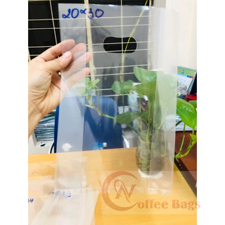 {1kg/size} TÚI NILON TRONG SUỐT (SẢN PHẨM Y HÌNH)