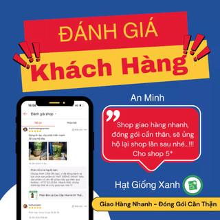 Hạt Giống Ớt Đùi Gà Thái Lan(gói nguyên zin 0.3 gram)