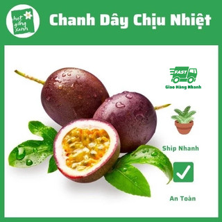 Chanh dây/ chanh leo tím