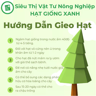 Hoa sen cạn leo- 5 hạt phù hợp khí hậu VN
