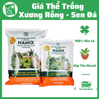 Đất Trồng Sen Đá, Xương Rồng Namix (5dm3)