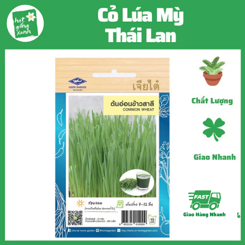 Hạt Giống Cỏ Lúa Mỳ Thái Lan(gói zin 10g)