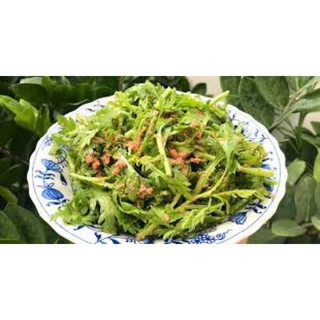 5 gói hạt giống tần ô (20gr/gói)