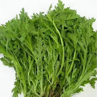 5 gói hạt giống tần ô (20gr/gói)