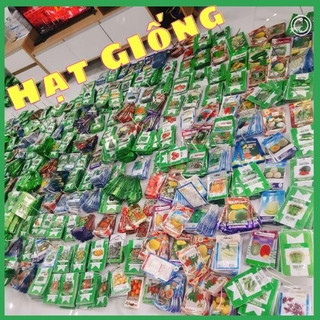 Hạt giống hoa panse nhiều màu(0.03g)