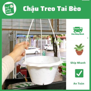 Chậu treo tai bèo Talopa cao cấp Kích Thước 26*13cm- kèm dây treo