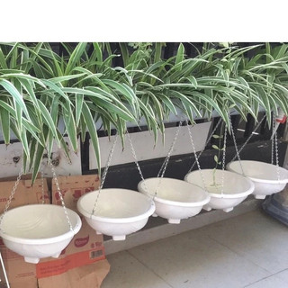 Chậu treo chảo móc xích, bền to đẹp