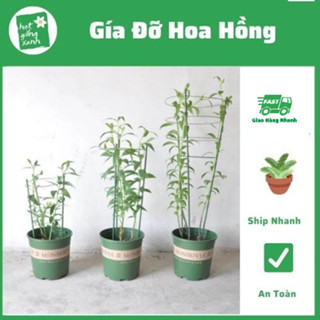 Khung giá đỡ hoa hồng, giàn hoa hồng,giàn leo cà chua, dưa leo, giàn cố định thân cây