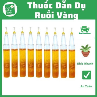 5 ống thuốc dẫn dụ ruồi vàng, bẫy ruồi vàng