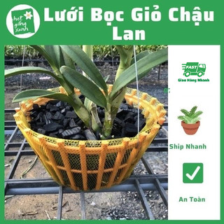 Túi lưới bọc giỏ chậu hoa lan