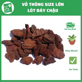 Vỏ Thông Trồng Lan (1kg), Trồng Lan Lót Đáy Mặt Chậu