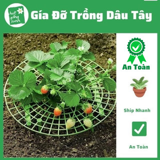 Giá đỡ hỗ trợ trồng Dâu Tây, khung đỡ xà lách, giá đỡ quả