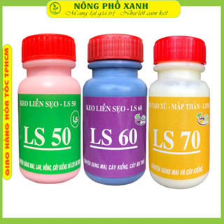  Keo Liền Sẹo Cây Loại 100gr mai vàng Bonsai Hoa Lan Ls50-60-70-80 kích rễ A01 