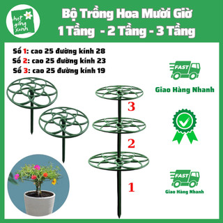 Bộ vòng trồng hoa mười giờ nhiều tầng
