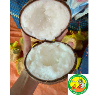 DỪA SÁP LOẠI ĐẶC BIỆT TRÁI TO 1KG3