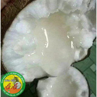 DỪA SÁP ĐẶC RUỘT SỈ LẺ CẦU KÈ TRÀ VINH