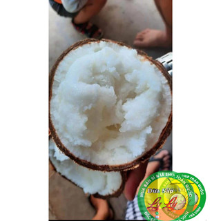 Combo 3 trái Dừa sáp Bi 500g 2 phần ăn