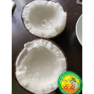DỪA SÁP Loại 2 lỏng 1ky5(có thể làm mứt)