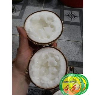 Combo 3 trái Dừa sáp Bi 500g 2 phần ăn