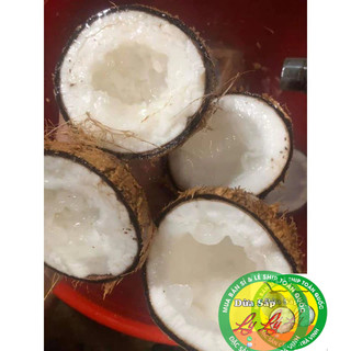 Combo 3 trái Dừa sáp Bi 500g 2 phần ăn