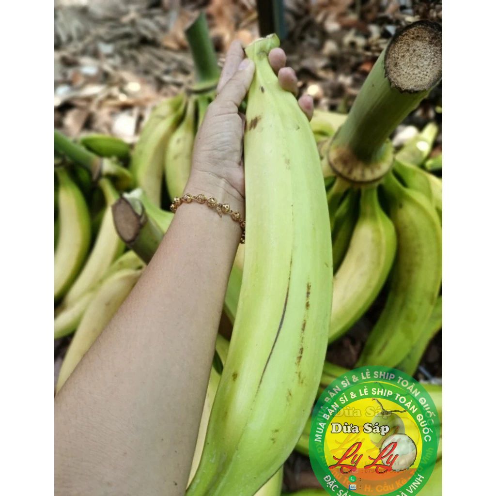 Chuối Tá Quạ trái to đặc biệt