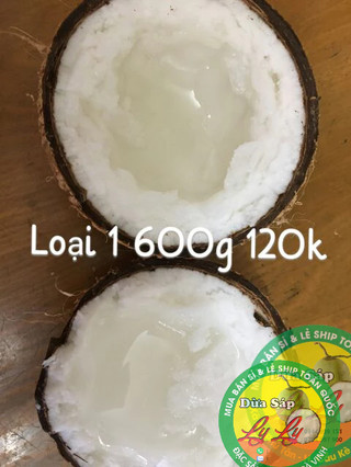 DỪA SÁP MINI COMBO 2 TRÁI NGON RẺ