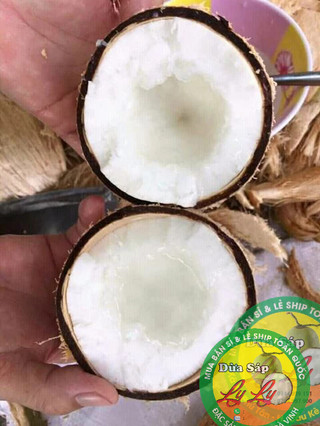DỪA SÁP MINI COMBO 2 TRÁI NGON RẺ