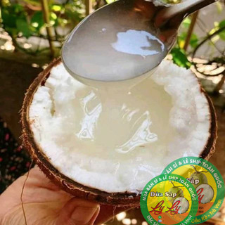 Combo 5 trái Dừa Bi 700,800g đặc ruột