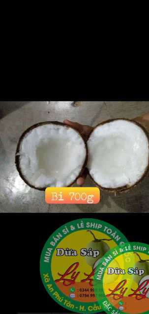 Combo 5 trái Dừa Bi 700,800g đặc ruột