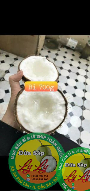 Combo 5 trái Dừa Bi 700,800g đặc ruột