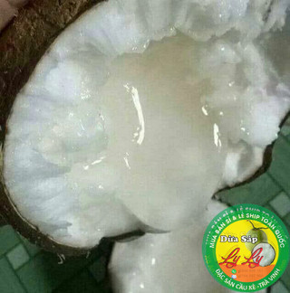 DỪA SÁP LOẠI ĐẶC BIỆT COMBO 3 QUẢ 3KY5