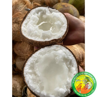 DỪA SÁP LOẠI ĐẶC BIỆT TRÊN KÝ CẦU KÈ BAO NGON