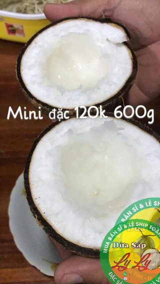 DỪA SÁP MINI COMBO 2 TRÁI NGON RẺ
