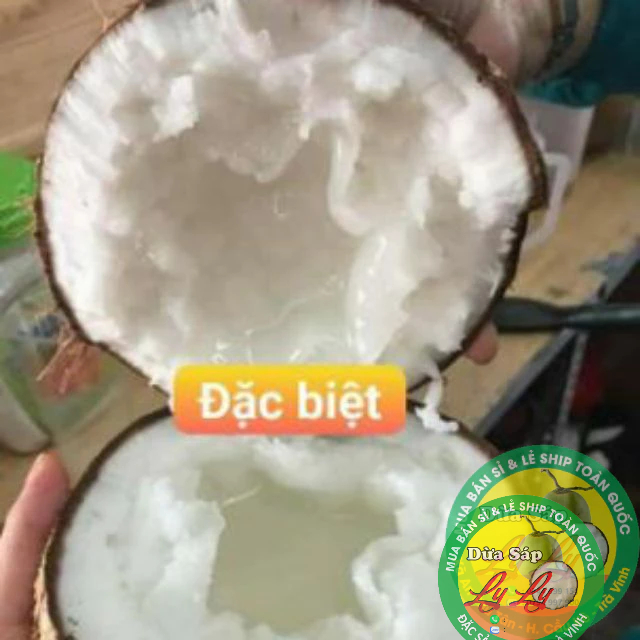 DỪA SÁP LOẠI ĐẶC BIỆT COMBO 3 QUẢ 3KY5