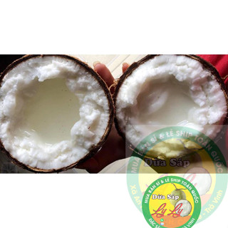 Dừa Sáp đặc ruột loại 1 trái 1 ký