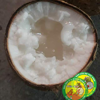 DỪA SÁP ĐẶC RUỘT LOẠI 1 900g ĐẶC SẢN CẦU KÈ