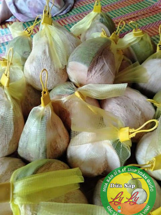 DỪA SÁP 3 NƯỚC LỎNG(có thể làm mứt)