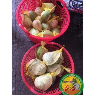 Combo 2 sáp đặc bi lớn 700g