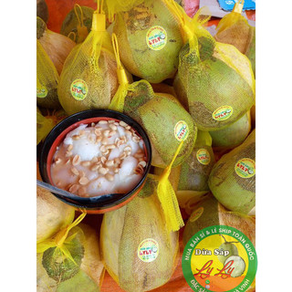 2 BỊCH ĐẬU PHỘNG RANG VÀNG ĂN KÈM DỪA SÁP