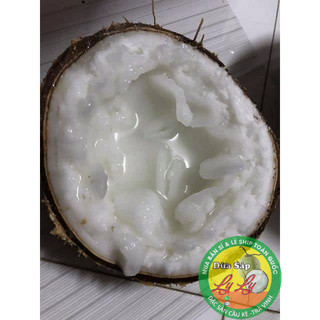 Combo 2 trái loại trung 900g