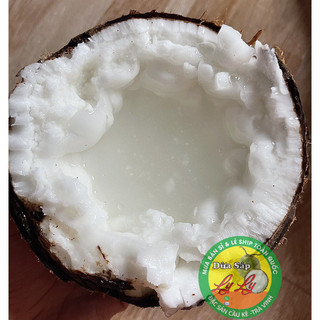 Dừa sáp 2 quả loại đặc biệt 2kg5
