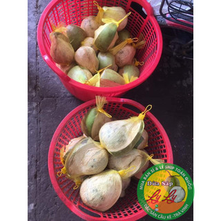 Combo 2 trái loại trung 900g