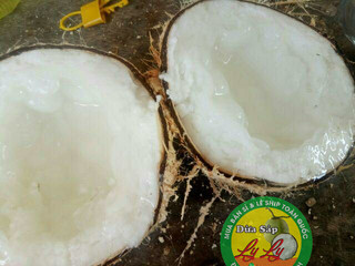 Dừa sáp 2 quả loại đặc biệt 2kg5
