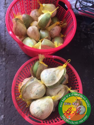 SÁP BI NƯỚC LỎNG BAO ĂN