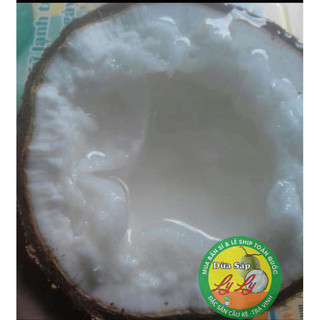 Combo 4 trái đặc biệt và 2 cây giống