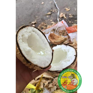 Combo 10 quả Dừa Bi nhất 700g đặc y ảnh